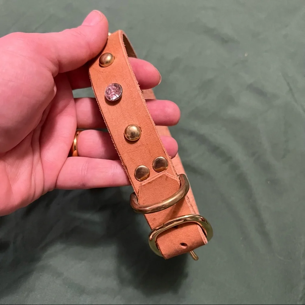 Hand Crafted Medium Leather Dog Collar